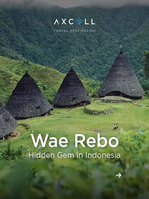 CPwae rebo